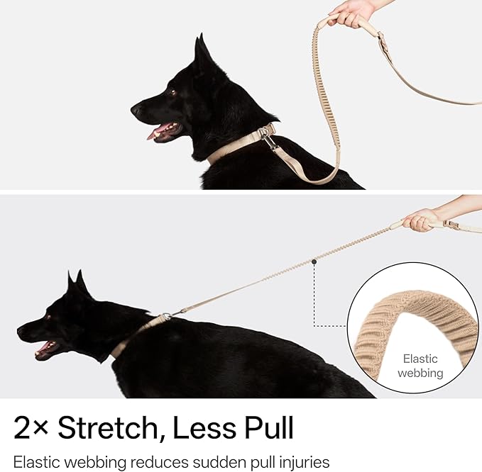 Hands Free Dog Leash Adjustable Versatile Crossbody Waist Dog Leash Reflective Comfortable Padded Handles Shock Absorbing Walking Lead for Small Medium Large Dogs (Super Reflect-Black, M)