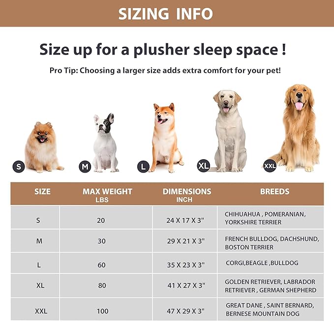 Dog Bed for Large Dog - Orthopedic Pet Beds with Memory Foam, Waterproof Removable Washable Cover with Non-Slip Bottom, Khaki, 35" L x 23" W x 3" H