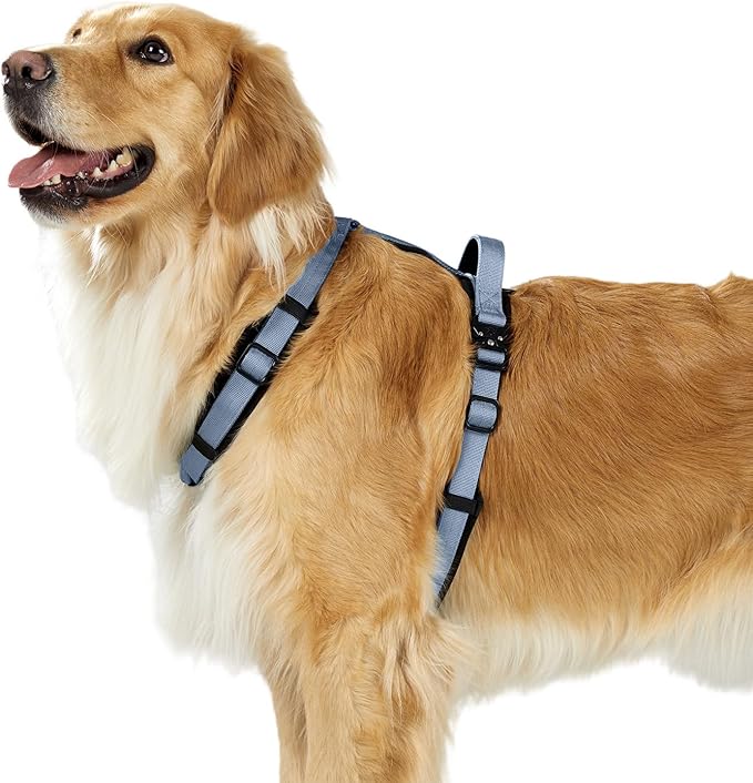 PawsPassion Dog Harness for Medium Dogs, No Pull Dog Harness Easy Walk with Metal Hardware, Ergonomic Y-Shaped Design, Soft Padding, Padded Handle, Durable High-Tensile Nylon (Horizon, M)