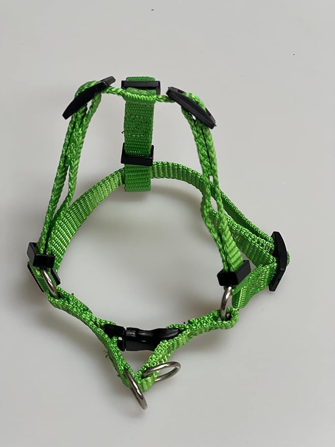 FenceMate Dog Harness to Keep Your Pets On The Safe Side of The Fence-Dog Safety Harness (Small) Fits Chest 12"-16" (Measure Girth Before Ordering) Improved No Escape Dog Harness