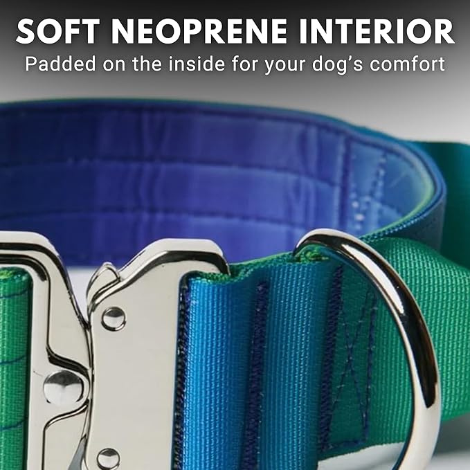 Spark Paws Tactical Dog Collar - Heavy Duty, Premium Quality, Thick and Durable for Large and Medium Dogs - Lime Wave - M - 1.5"