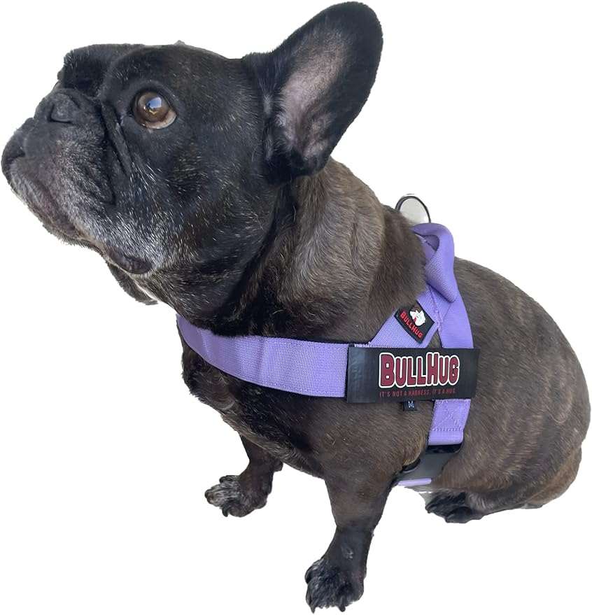 BULLHUG Adjustable Dog Harness– No Pull, No Choke – for English Bulldogs, French Bulldogs, Pugs & Broad-Chested Breeds – Easy, Safe Walks (Purple, Large)