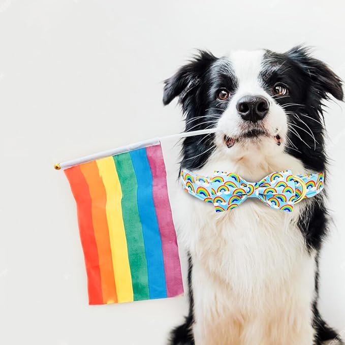 Tunkoo Pride Dog Collar with Rainbow Bow Tie for LGBTQ, Metal Buckle Pet Collar Adjustable Cotton Collar for Small Medium Large Boys Girls Dogs, S