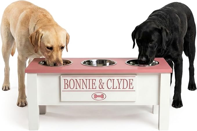 GTW Personalized Elevated Triple Dog Bowl Stand for Large, Medium, Small, X-Small Dogs - 3 Stainless Steel Food and Water Bowls - Raised Dog Dish with Internal Storage (Large, Pink)