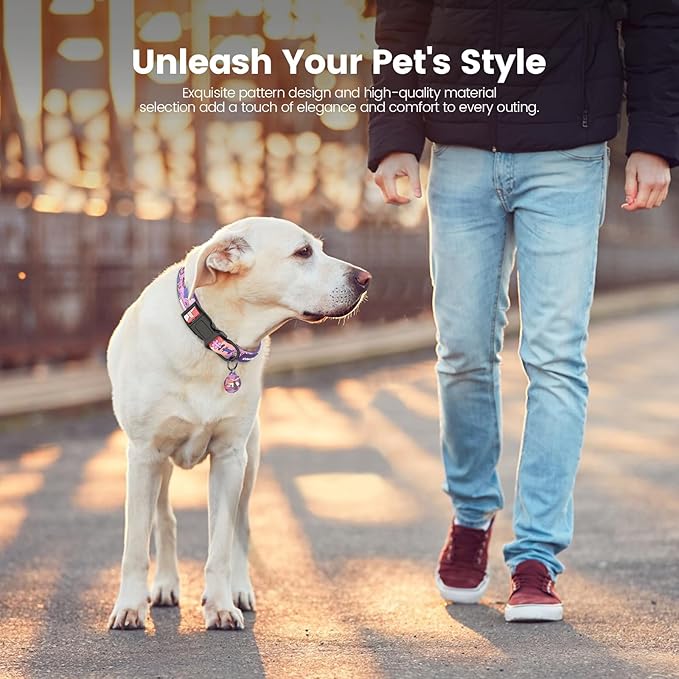 Dog Collar with QR Code ID Tag, Smart Pet ID Collar with Free App Option, Soft Padded Adjustable Dog Collar with Secure Metal D-Ring & Quick Release Buckle for Small Medium Large Dogs (Purple, M)