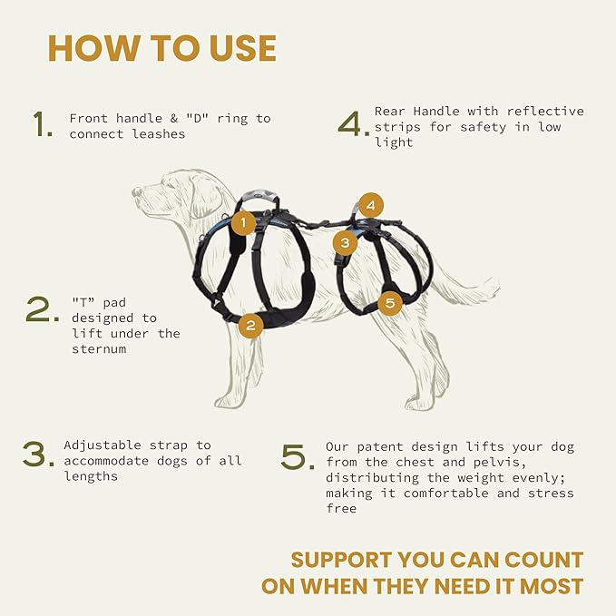 Help 'Em Up® - Dog Lift Harness│ Adjustable Lifting Harness for Dogs │ Full Body Support, Rear Leg Support (U-Band, Medium)