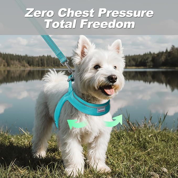 Dog Harness and Leash Set,Step in Small Sized Dog Harness,Soft Mesh,No-Chock,Reflective Adjustable,Secure with Hook & Loop Fastener,Puppy Vest for Small,Medium Dogs(Ocean Blue,XS)