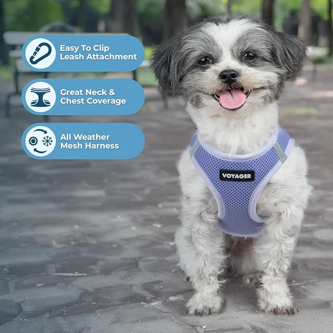 Best Pet Supplies - All Weather Mesh/Plush, Reflective, No Pull Harness for Small, Medium Dogs, Cats - Secure with Hook & Loop Fastener, Buckle, Double D-Rings - Lavender, XS