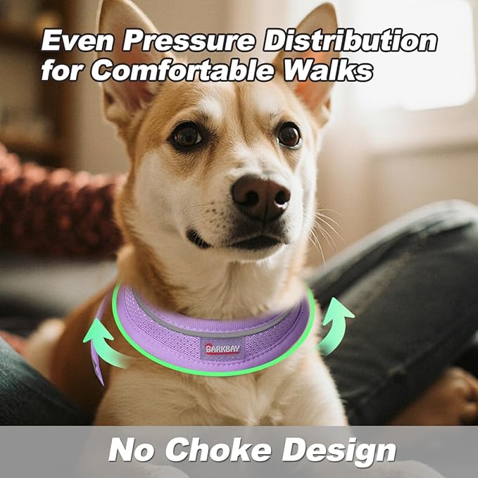 Dog Harness and Leash Set,Step in Small Sized Dog Harness,Soft Mesh,No-Chock,Reflective Adjustable,Secure with Hook & Loop Fastener,Puppy Vest for Small,Medium Dogs(Violet Purple,XS)