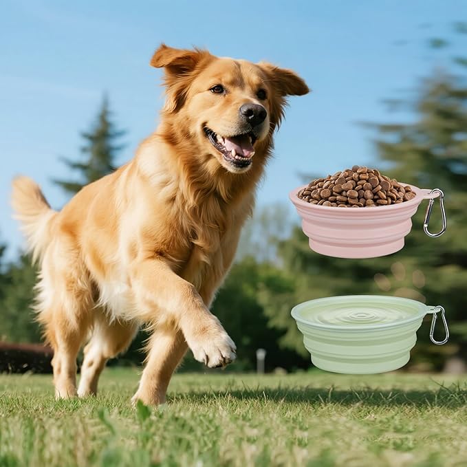 2-Pack, LeeRound Small Medium Collapsible Dog Water Bowl for Travel, Food-Grade Silicone Bowl, Portable Dog Bowl with Hook, Outdoor Pet Feeding Bowls Meet Needs in Different Scenarios, Pet Essentials