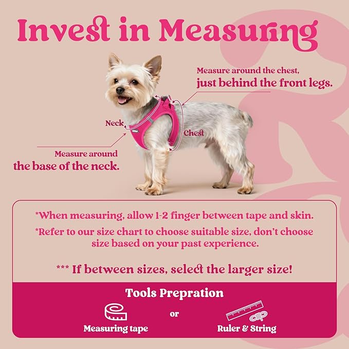 rabbitgoo Small Dog Harness, Step-in Soft Mesh Puppy Vest with Safety Buckle, Breathable Reflective Pet Harness for Small Medium Dogs, Rose Red XL