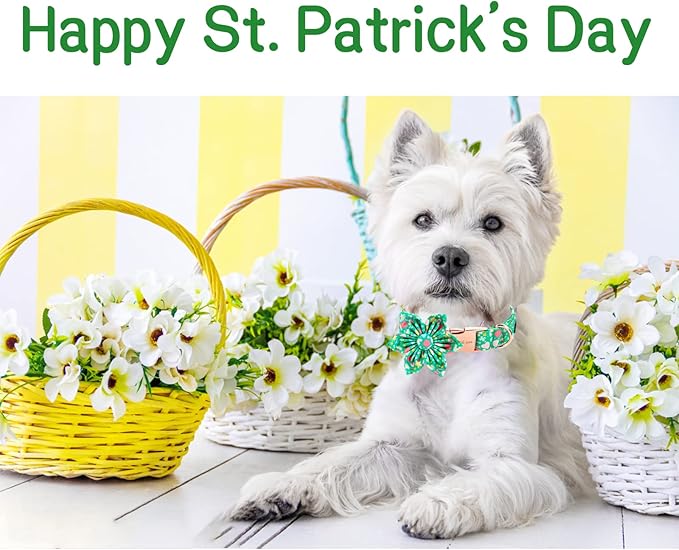 Unique style paws St. Patrick's Day Dog Collar with Flower Tie Rainbow Clover Heart Puppy Collar for Small Medium Large Boys Girls-XL