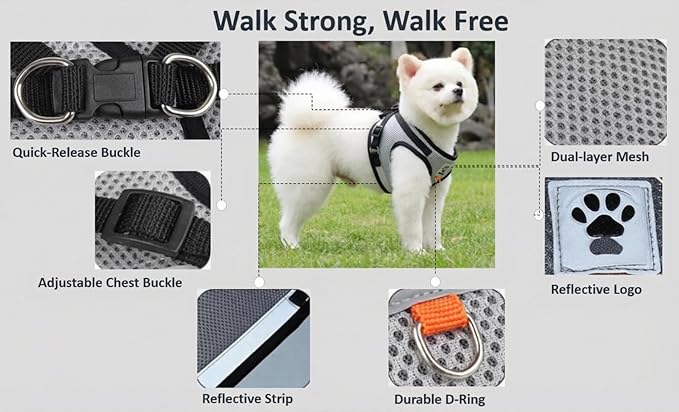 Dog Harness and Leash Set-No Pull No Choke Step-in Pet Harness for All Weather Lightweight Adjustable Cat Harness Breathable Soft Mesh Puppy Vest with Hook & Loop Fastener Buckles D-Rings-Black-M