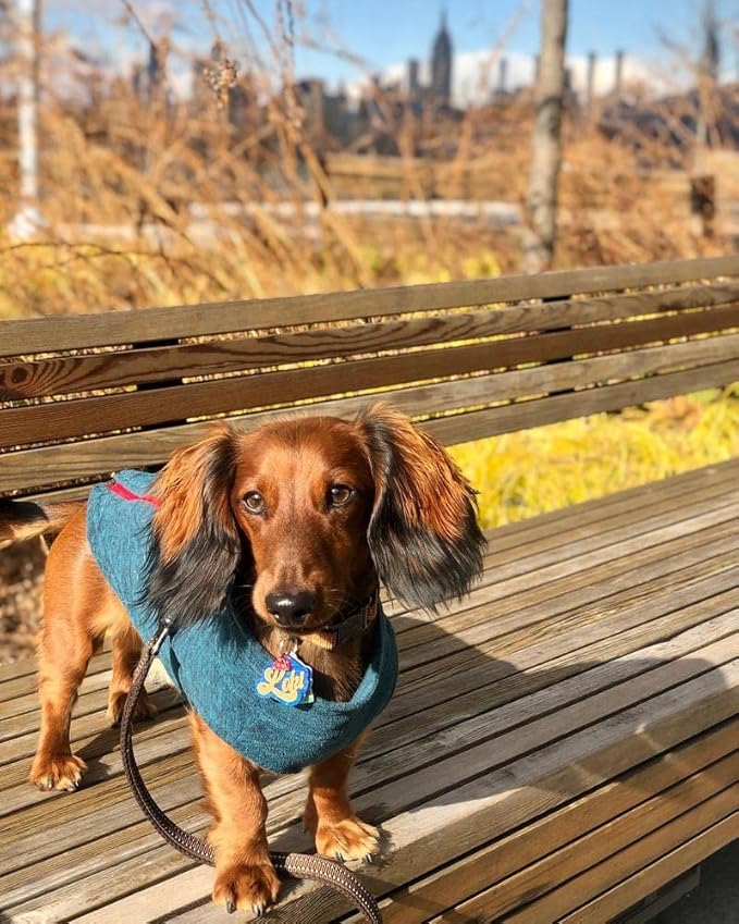 Gooby Zip Up Fleece Dog Sweater - Fuchsia Wash, X-Large - Warm Pullover Fleece Step-in Dog Jacket with Dual D Ring Leash - Winter Small Dog Sweater - Dog Clothes for Small Dogs Boy and Medium Dogs