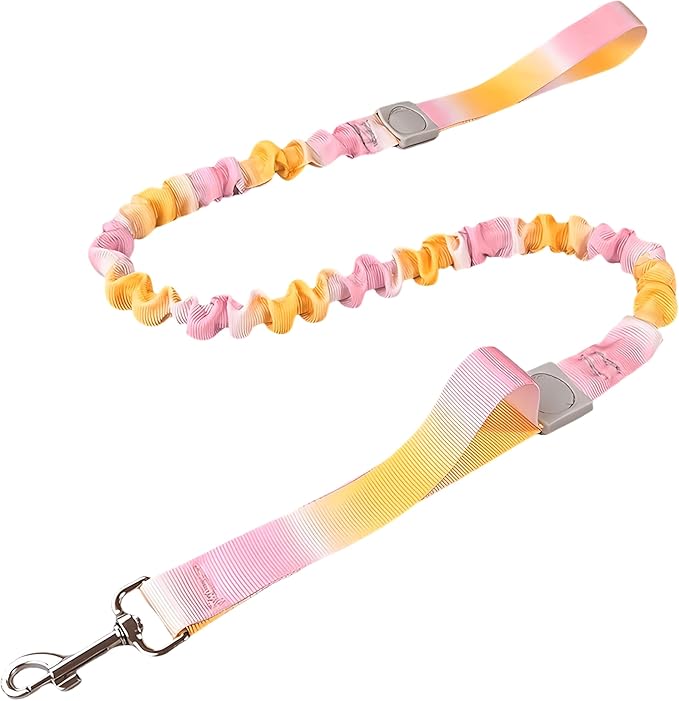 Dual Handles Bungee Dog Leash, Ombré Color Shock-Absorbing Dog Leash with 360° Swivel Clasp, for Small to Medium Dogs (4 – 5.5 ft) (Pink-Orange Ombré)