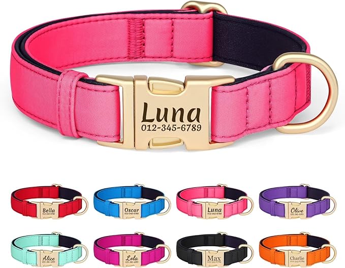 PET ARTIST Personalized Dog Collars, Colorful Pink Custom Dog Collar with Silent Engraved ID Tag, Lightweight Breathable Nylon & Soft Padded, Matching Leash & Poop Bag for Small Dogs,Fit 10-15"
