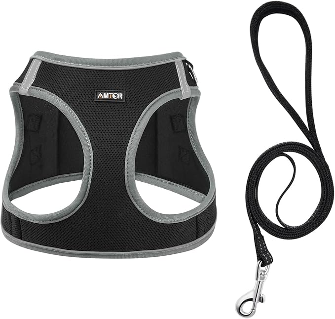 AMTOR Small Dog Harness with Leash Set, No Escape Easy Walk Puppy Harnesses for Training Walking, Step-in Reflective Soft Dogs Vest for XS S Medium Extra-Small Large Sized Dog(XXS,Black/Grey)