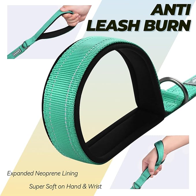 VIVAGLORY Twingrip Dog Leash, Double Handle Dog Leash for Training & Walking with Traffic Handle & 2 Loop, Traffic Control Reflective Heavy Duty for Puppy Pet, 4ft x 1in, Turquoise