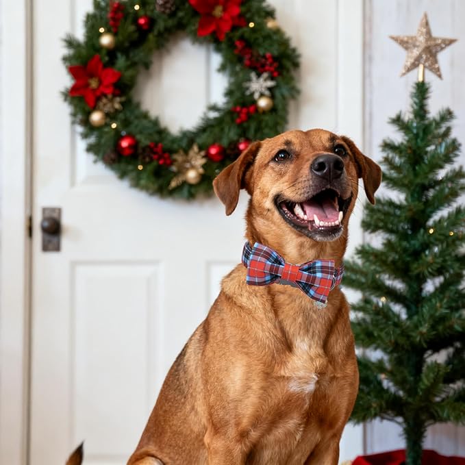 DOGWONG Christmas Dog Collar with Bow Tie, Red Blue Plaid Dog Collar Durable Metal Buckle Adjustable Soft & Cute Red Checkered Dogs Collars for Small Medium Large Dogs, S