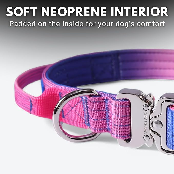 Spark Paws Tactical Dog Collar - Heavy Duty, Premium Quality, Thick and Durable for Large and Medium Dogs - Snow Cone - XS - 1"