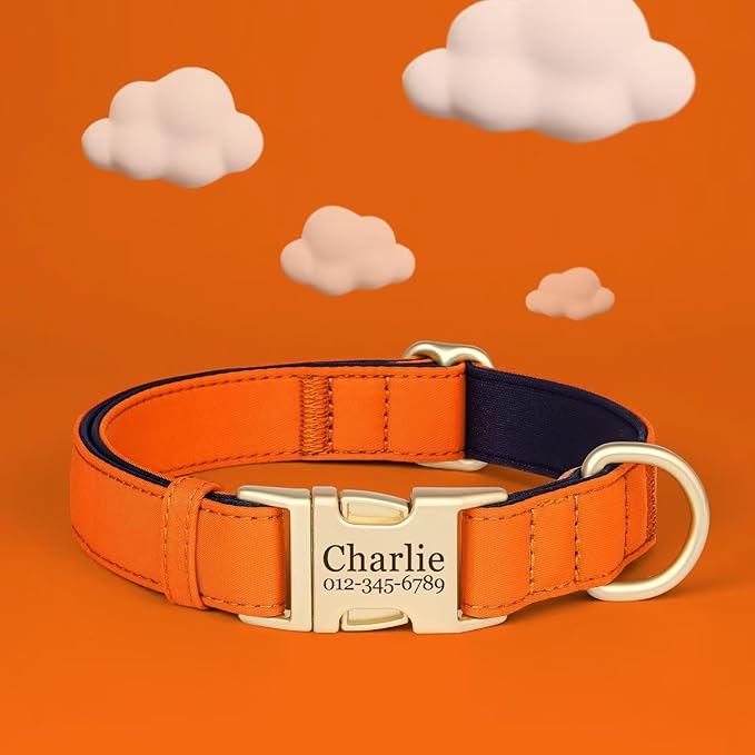 PET ARTIST Colorful Personalized Dog Collars, Custom Dog Collar with Silent Engraved ID Tag, Lightweight Breathable Nylon & Soft Padded, Matching Leash & Poop Bag for Large Dogs,Orange,L Fit 15-23"