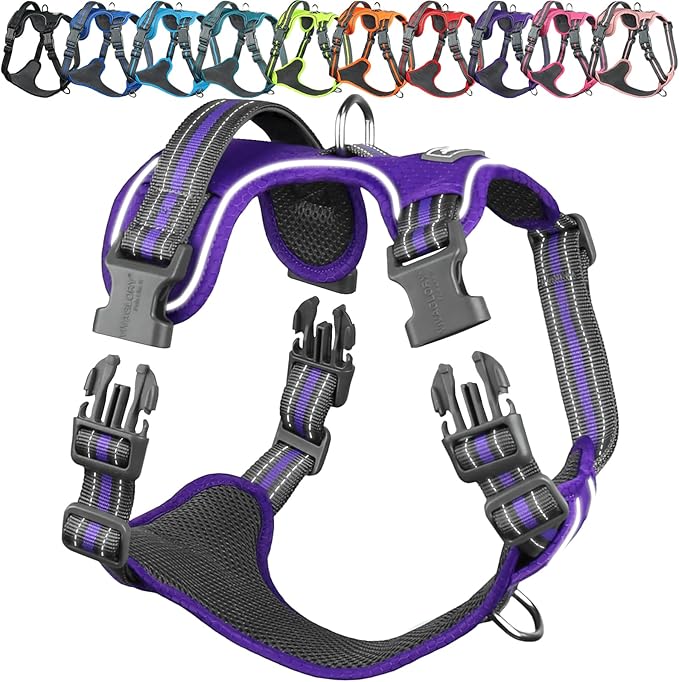 VIVAGLORY Dog Harness Easewalk No Pull Dog Harness with Handle Front Clip & Back Clip for Training Walking Lifting, No Pull Adjustable Easy On Padded Comfortable for Pet, L, Purple - Patterned
