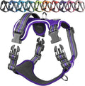VIVAGLORY Dog Harness Easewalk No Pull Dog Harness with Handle Front Clip & Back Clip for Training Walking Lifting, No Pull Adjustable Easy On Padded Comfortable for Pet, M, Purple - Patterned