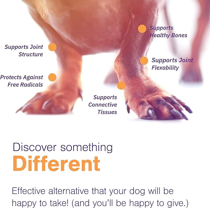MOVOFLEX Joint Support Supplement for Dogs - Hip and Joint Support - Dog Joint Supplement - Hip and Joint Supplement Dogs - 60 Soft Chews for Small Dogs (by Virbac)