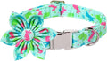 Lionet Paws Easter Dog Collar with Flower, Bunny Egg Flower Collar with Metal Buckle for Dogs, Adjustable Comfortable Dog Collar Girl, M, Neck 13.5-22 in