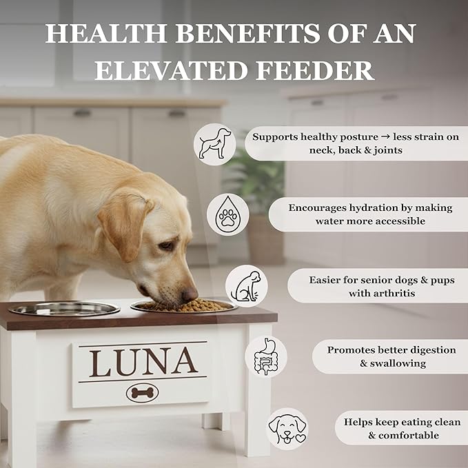 GTW Personalized Elevated Dog Bowl Stand for Large, Medium, Small, X-Small Dogs - Stainless Steel Food and Water Bowls - Raised Dog Dish with Internal Storage (Large, Magenta)