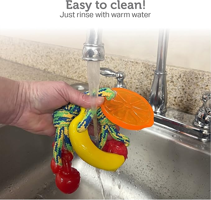 Friends Forever Dog Rope Toy, Tough Dog Chew Toys, Plastic Rubber Durable Puppy Teething Toy, Orange/Banana 2 Piece