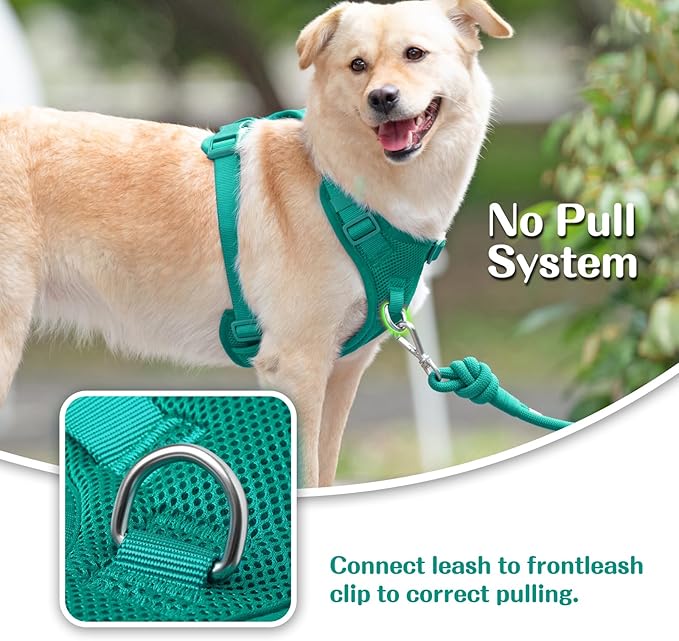 No Pull Dog Harness for Small Medium Large Dogs - Adjustable 2 Layer Mesh Dog Vest with Dual Clip, Escape Proof, Quick Release, Lightweight Breathable Mesh for Walking Hiking (MARRS Green,XS)