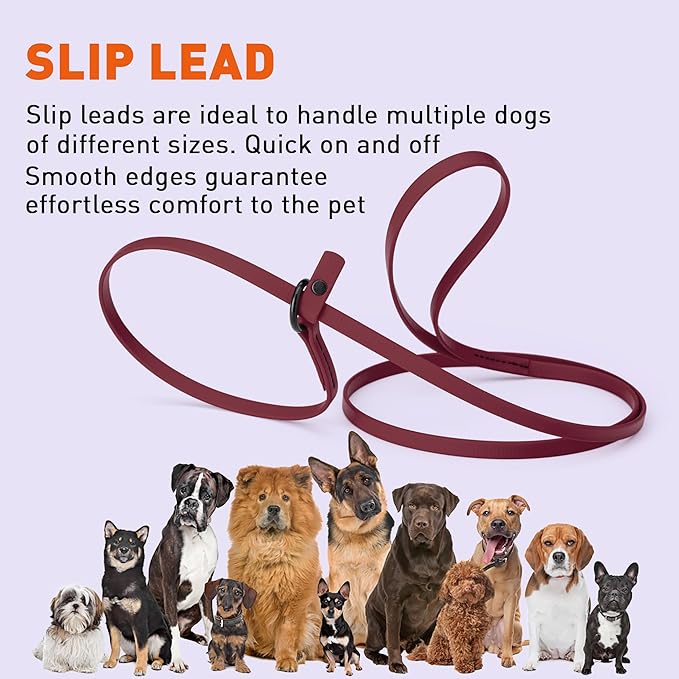 Dogline Biothane Slip Dog Leash - for Small, Medium and Large Dogs - Odor Free Slip Lead, Heavy Duty and Durable Material Kennel Lead - Merlot Burgundy - 5ft L x 3/8in W