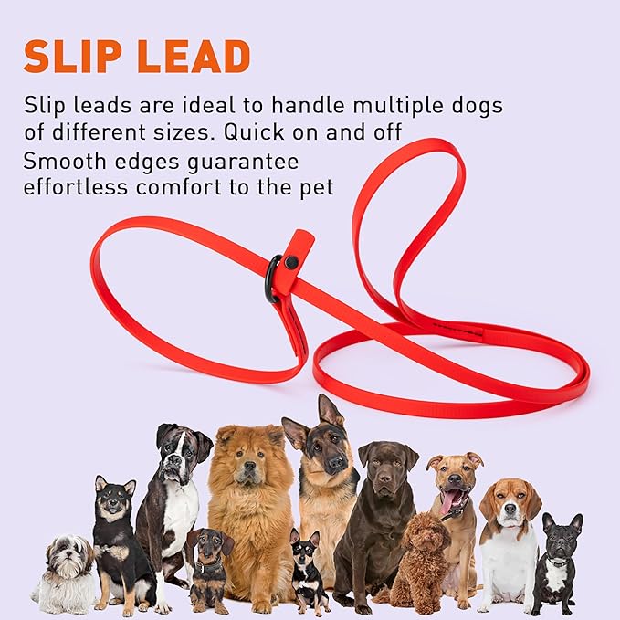 Dogline Biothane Slip Dog Leash - for Small, Medium and Large Dogs - Odor Free Slip Lead, Heavy Duty and Durable Material Kennel Lead - Cherry Red - 5ft L x 3/8in W
