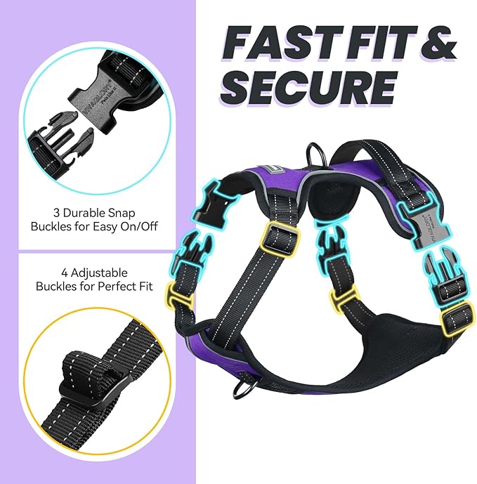 VIVAGLORY Dog Harness Easewalk No Pull Dog Harness with Handle Front Clip & Back Clip for Training Walking Lifting, No Pull Adjustable Easy On Padded Comfortable for Pet, XS, Purple - Plain