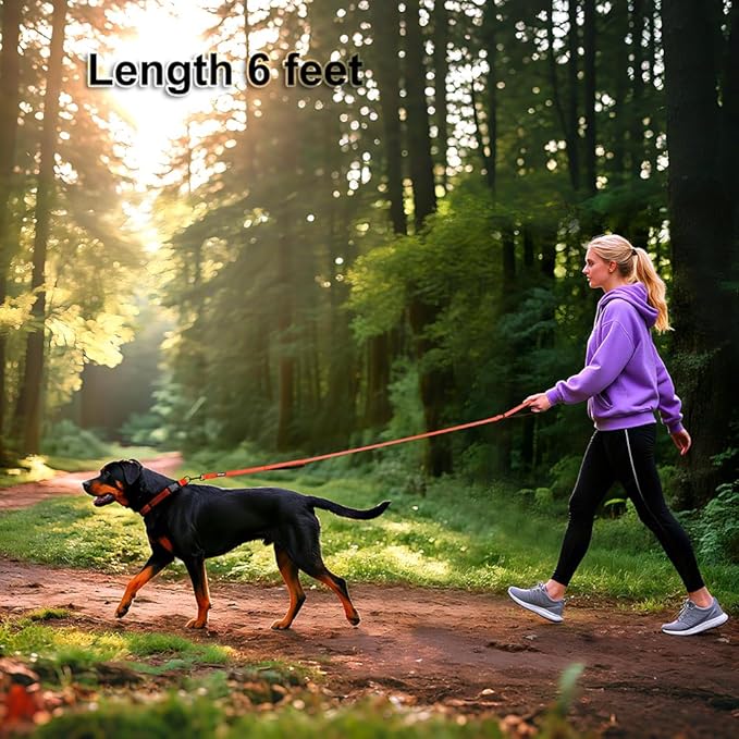Heavy Duty Double Handle Dog Leash 6 ft Long for Total Control, Padded 2 Handle, Reflective Training Lead for Medium Large Dogs (Orange, 6 FT)
