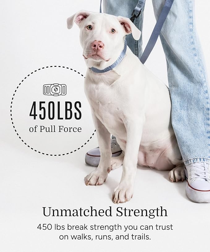 2026 New Edition, Fei & Eve Classic Dog Collar - Quick Release Metal Buckles | Fur-Safe | Premium 210D Nylon | 450LB Escape-Proof | Adjustable Fit | Large (Dusk Blue)