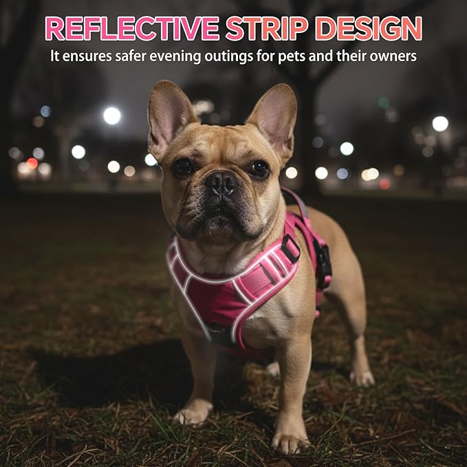 Heavy Duty Tactical Dog Harness for Small Dogs, No Pull Dog Harness with Handle & Front Clip, Reflective Soft Padded, Hook and Loop Panel, Dog Vest for Walking, Service Training, Hotpink