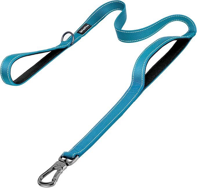 PetiFine 5FT Heavy Duty Dog Leash with Soft Padded Double Handle, Durable Strong Clasp Dog Leashes, Reflective Nylon Walking Lead for Large,Medium,Small Breed Dogs, Blue