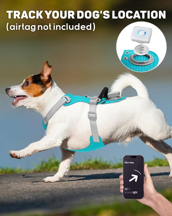 TagME No Pull Dog Harness with 2 Leash Clips,Lightweight & Visible for All-Day Walking,No Choke Pet Vest Includes AirTag Holder for Puppy,Teal