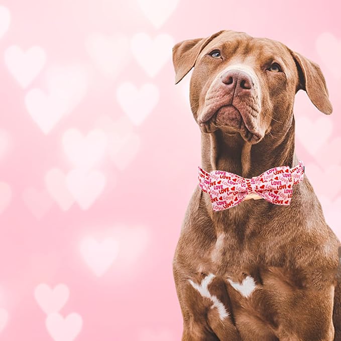 Elegant little tail Valentine's Dog Collar, Heart Dog Collar Cute Girl or Boy Puppy Collars Bowtie Pet Gift Adjustable Pet Collars for Large Dogs