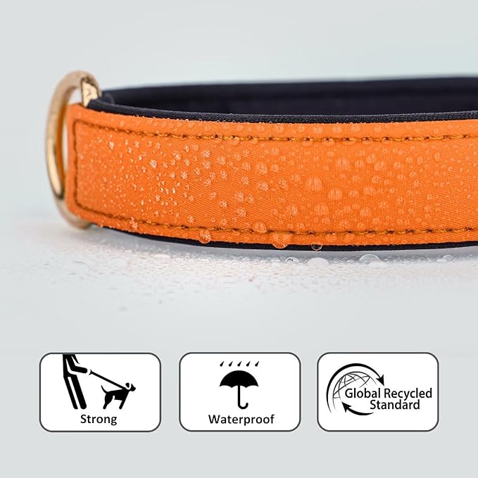 Didog Soft Padded Dog Collars for Small Dogs, Lightweight and Breathable Dog Collar with Metal Buckle for Puppy, Orange, S