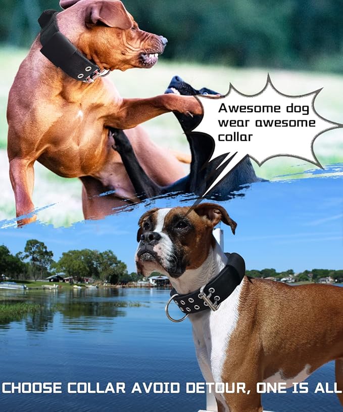 Large Dog Collar - Black Heavy Duty Collars for Gaint Breed Dogs, 2 inch Wide with Handle Strong Nylon and Stainless Hardware Tactical Collar, Good Choice for Large Dogs 19-23.5 in