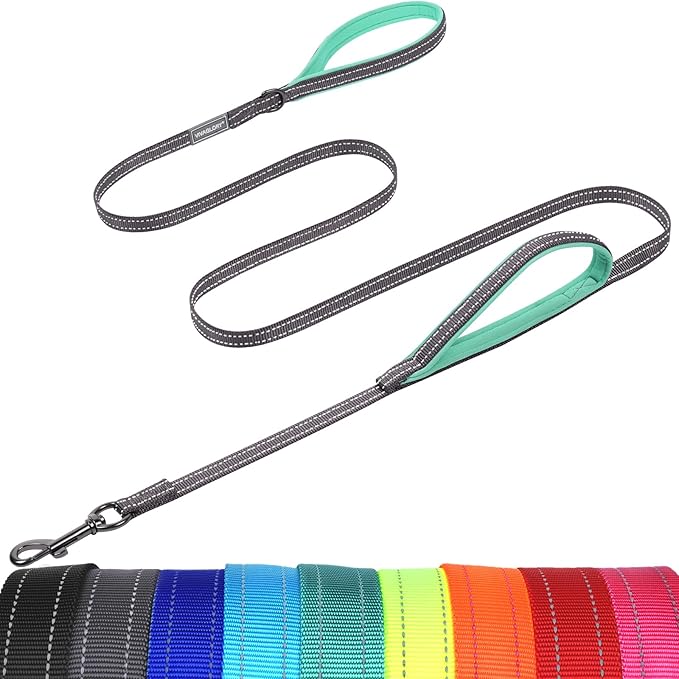 VIVAGLORY Twingrip Dog Leash, Double Handle Dog Leash for Training & Walking with Traffic Handle & 2 Loop, Traffic Control Reflective Heavy Duty for Puppy Pet, 6ft x 1/2in, Grey