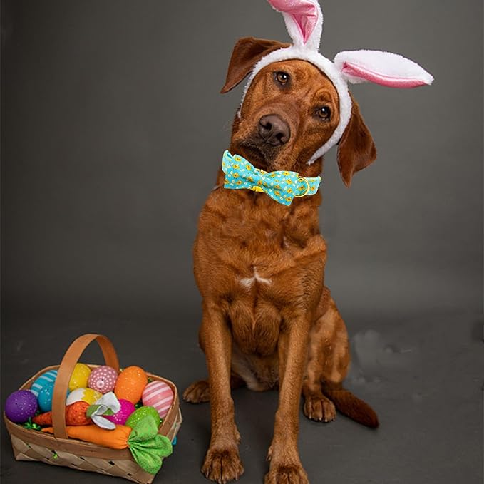 Elegant little tail Easter Dog Collar, Blue Chicken Eggs Print Dog Collar with Bow Puppy Collars Boy Pet Gift Puppy Bowtie Adjustable Pet Collars for Small Dogs