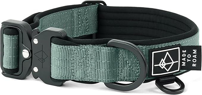 MADE TO ROAM Comfort Collar - Adjustable Nylon Dog Collar with Soft Comfortable Padding, Light Aviation Aluminum Metal Buckle for Small, Medium and Large Dogs (Florida Seaside, Size 4)