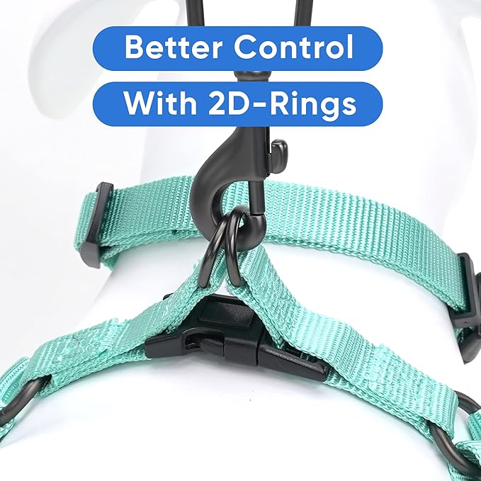 Pawtitas Solid Step-in Dog Harness – Adjustable No-Pull Vest for Puppies to Seniors, Safe & Comfortable M Teal