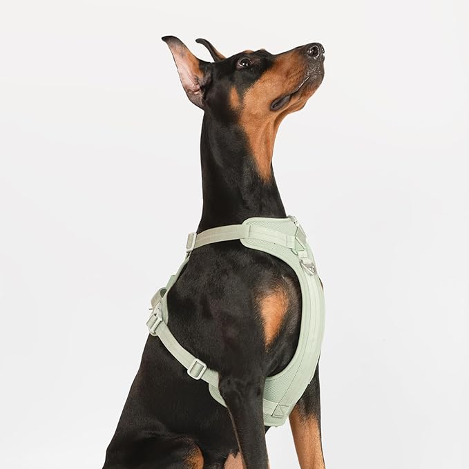 All-Weather No Pull Dog Harness Reflective Vest Harness QR Code Anti-Lost Adjustable Quick-Release Buckle Soft Padded Breathable Harness for Small Medium Dogs (Super Reflect-Black, S)