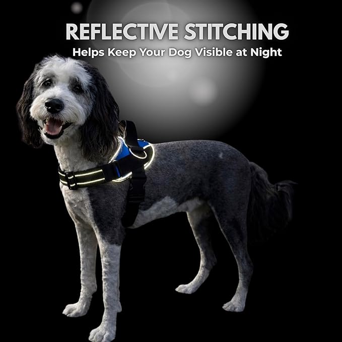 ShawnCo Essential Dog Harness, No-Pull Pet Vest with 3 Leash Clips, No Choke, Reflective, Adjustable and Padded, for Easy Walking and Training for Small, Medium and Large Dogs (Orchid, XS)
