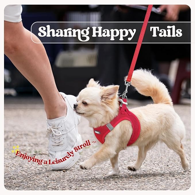 rabbitgoo Dog Harness Small Sized and Leash Set, Step in Soft Light Puppy Vest, Breathable Mesh Pet Harness, Reflective for Safe Easy Walking, Red XXS